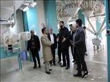 بازدید از کارخانه تولید آرد ارس مهر و پیگیری آرد مصرفی نانوایان آزاد پز